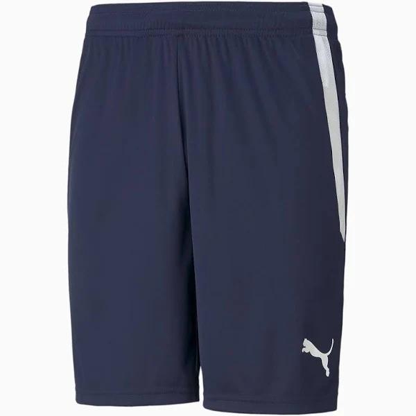 Puma Teamliga Training Mens Football Shorts Blue L