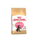 Royal Canin Dry Cat Food Maine Coon Kitten 2kg