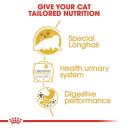 Royal Canin Persian Wet Cat Food - 85g