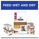 Hill's Prescription Diet k/d Kidney Care Salmon Wet Cat Food - 85g