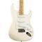 Fender Standard Telecaster Arctic White