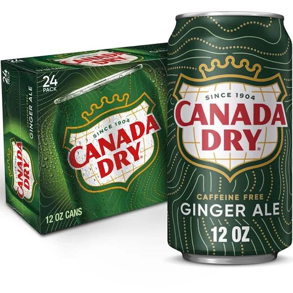 Canada Dry Ginger Ale Can 355ml 24 Pack