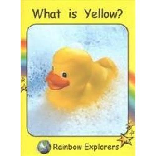 What Is YELLOW? by Pam Holden