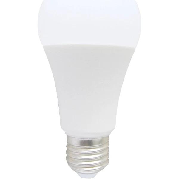 Domus KEY-GLS Led A60 Frosted PC Globe 3000K