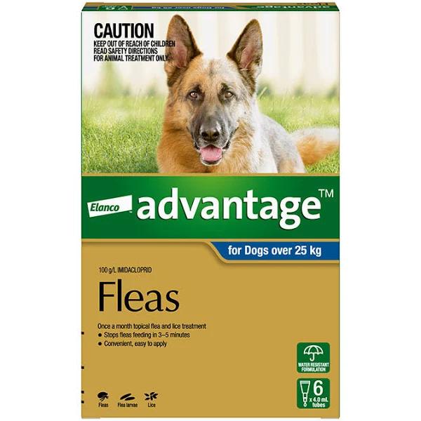 2 x XL Advantage Dog Flea Pipette 6 Pack in Blue