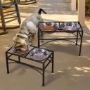 PaWz Dual Elevated Raised Pet Dog Puppy Feeder Bowl Stainless Steel Food Water Stand