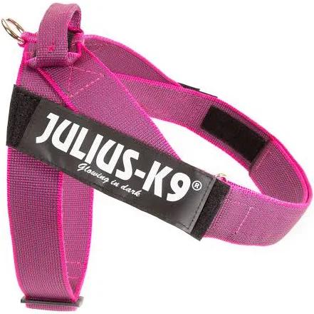 Julius-K9, IDC Color & Gray Belt Harness, Size: XL / 2, Pink-Gray