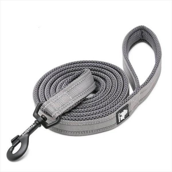 Reflective Pet Leash 2 Meters Grey XS