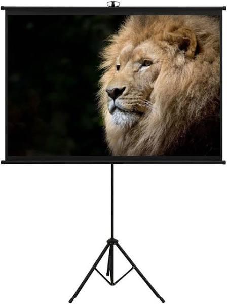 Projection Screen with Tripod 144.8 cm 1:1 vidaXL