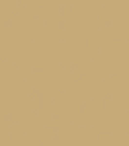 Ranger Gold Pearl Liquid Pearls Dimensional Pearlescent Paint