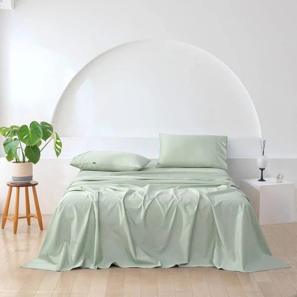 ESSN 500TC Cotton Sateen Sheet Set Sage Single Bed