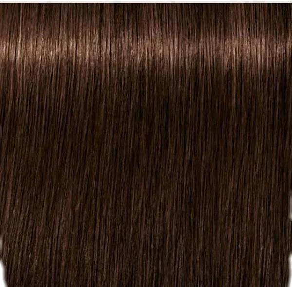 Schwarzkopf Igora Royal Hair Color - 4-6 Medium Brown Chocolate