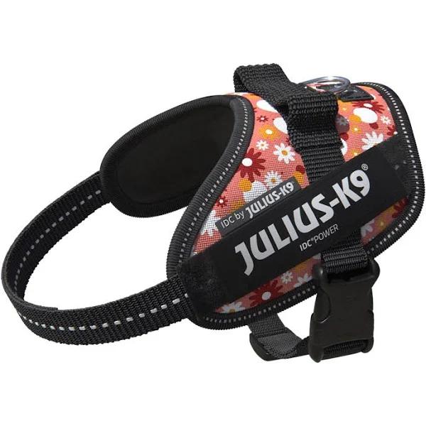 Julius-K9 IDC Powerharness, Size: XSMini-Mini, Pink Flowers