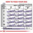 Royal Canin Senior Consult Mature Small Dog 3.5 kg