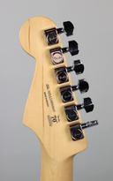 Fender Player Stratocaster Maple Anniversary 2-Color Sunburst