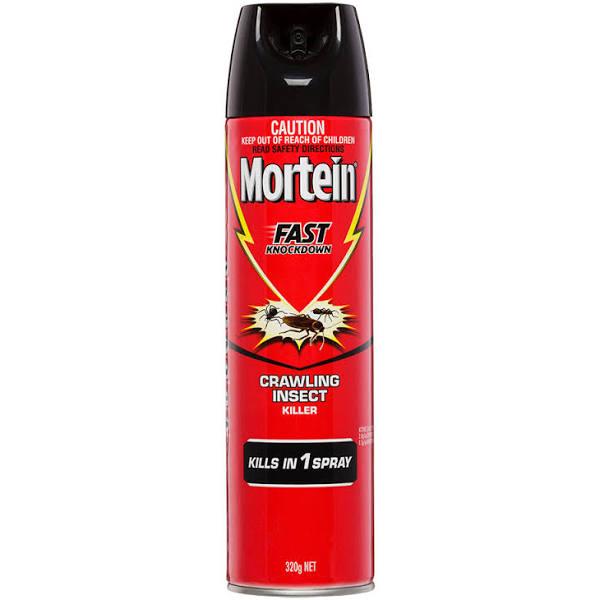 Mortein Insect Spray Rapid Kill 320g