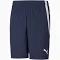 Puma Teamliga Training Mens Football Shorts Blue XL