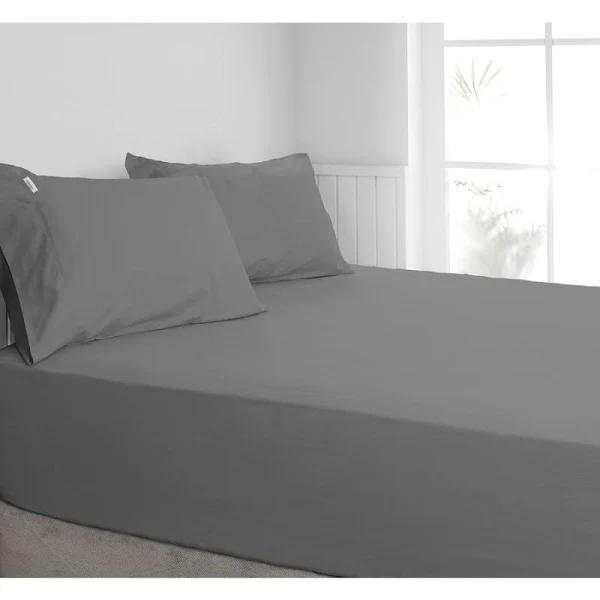 Algodon 300TC Cotton Fitted Sheet Combo Set - Mega King (Charcoal)