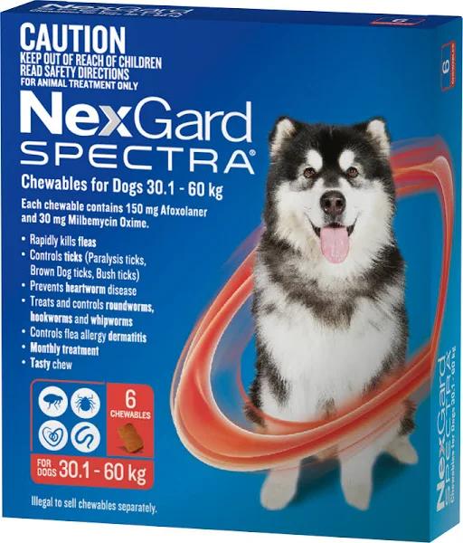 Nexgard Spectra 6-Pack for Dogs 30.1-60kg