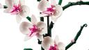 LEGO 10311 Orchid