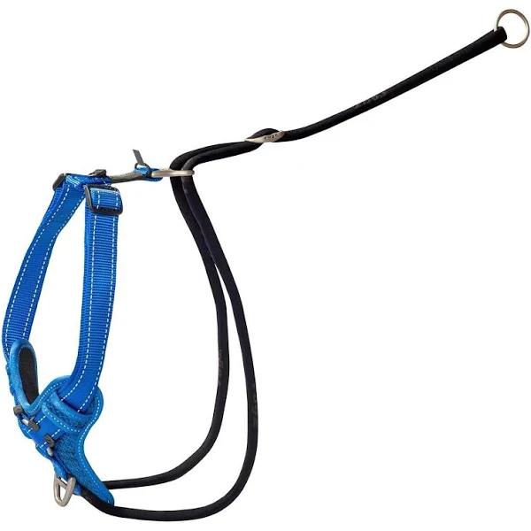 Rogz Control Stop-Pull Harness Blue