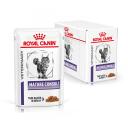 Royal Canin Veterinary Mature Consult Wet Cat Food 12 x 85g