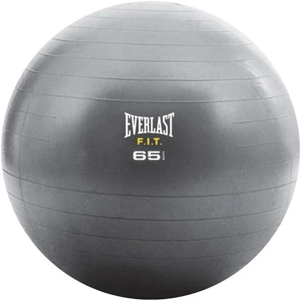 Everlast 65cm Core Strength Grey Ball