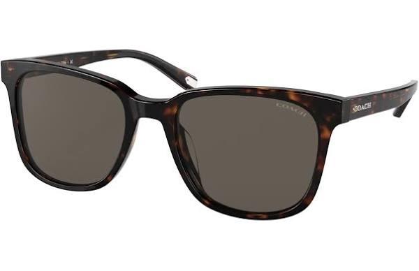 Coach HC 8313u Men Sunglasses - Havana