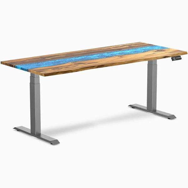 Desky Dual Resin Hardwood Sit Stand Desk