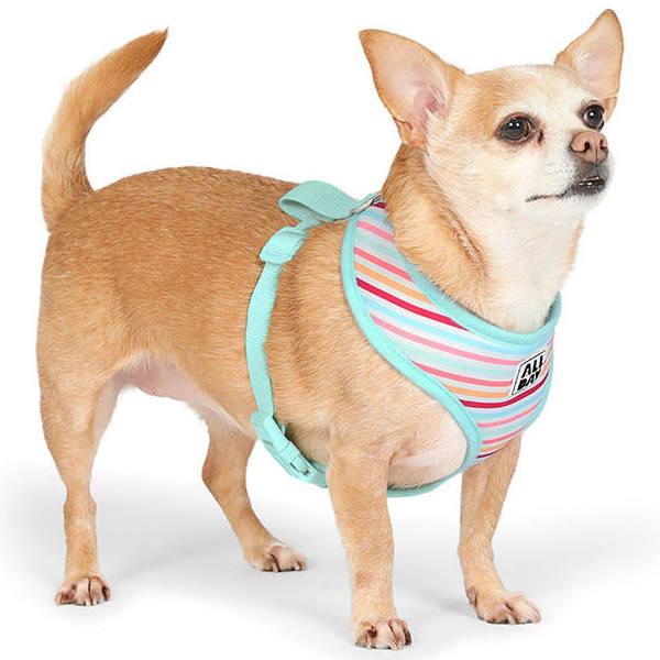 All Day Beach Ball Stripe Dog Harness Mint M