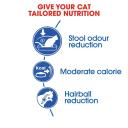 Royal Canin Cat Food Indoor (10 kg)