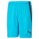 Puma Boys Liga Shorts White S