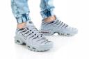 Nike Air Max Plus Wolf Grey