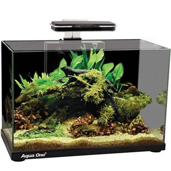 Aqua One Focus Aquarium Black 36L