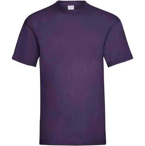 Universal Textiles Mens Short Sleeve Casual T-Shirt Grape x Large