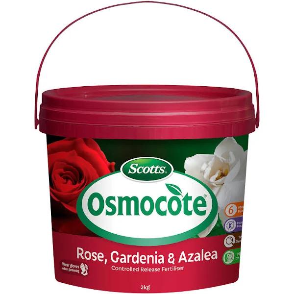 Scotts Osmocot Rose Gardenia Azaleas and Camellias Controlled Release Fertiliser