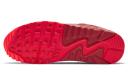 Nike Air Max 90 City Special Chicago