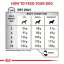 Royal Canin Adult Small Dog 2 kg