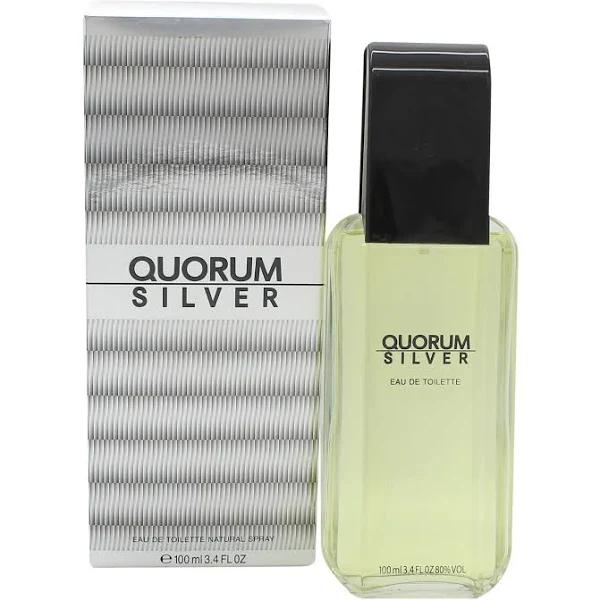 Quorum Silver Eau De Toilette Spray by Puig - 100 ml