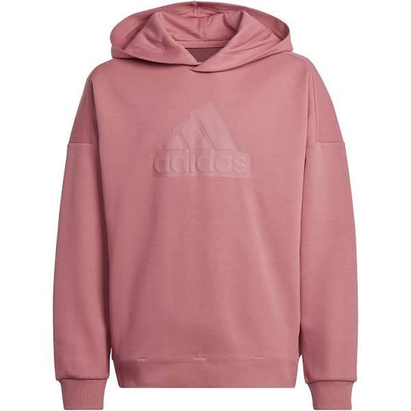 Adidas Kids Future Icons Logo Hoodie Pink 14