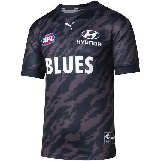 Carlton 2022 Authentic Mens Warm Up Top Carlton Blues / L