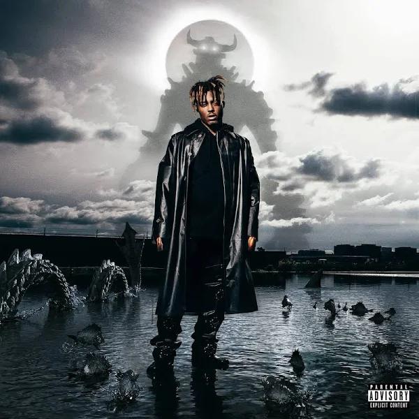 Juice WRLD - Fighting Demons (Vinyl)