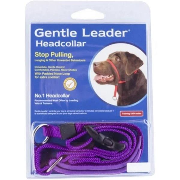 Gentle Leader Headcollar Purple Small