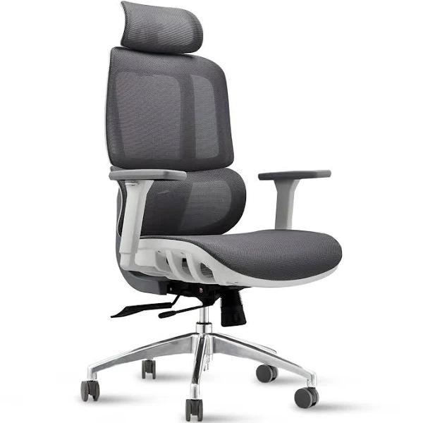 MIUZ Office Chair Executive Computer Chairs Study Home Mesh Lumbar Back Seat Recliner - Grey