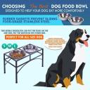 PaWz Dual Elevated Raised Pet Dog Feeder Bowl Stainless Steel Food Water Stand