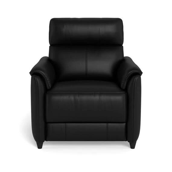 Dexter Leather Armchair Black by Freedom