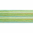 DMC Color Variations 4215 Northern Lights Embroidery Floss