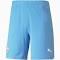 Puma Active 5-Inch Woven Shorts Navy L