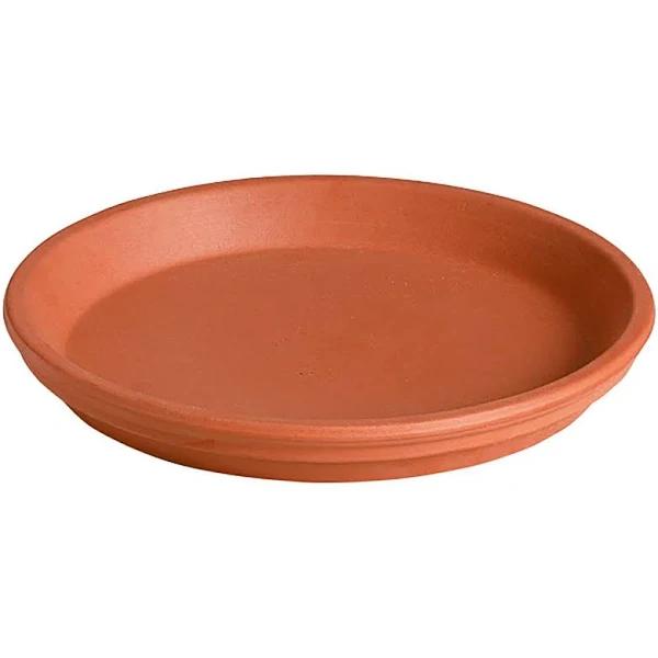 Northcote Pottery Terracotta Italian Saucer