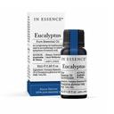 in Essence Eucalyptus Pure Essential Oil 8ml